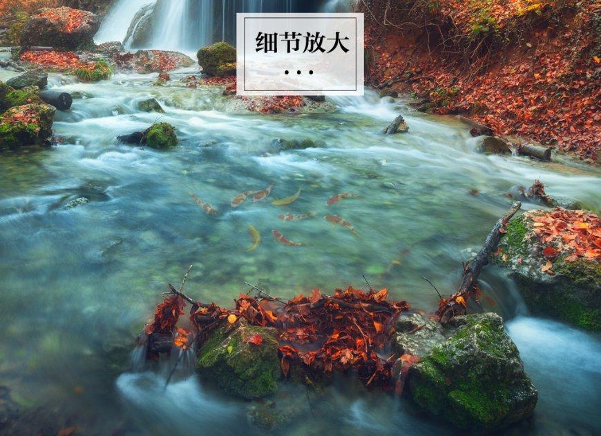 脑洞小老弟无实名认证